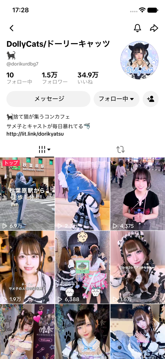 DollyCatsのTikTokプロフィールと動画一覧。サメ店長とキャストの投稿画面